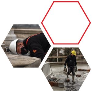 obras-horm-celul